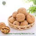 Professionele verwerkte Walnut Kernels Light Amber Helften